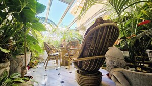 A conservatory with a glass ceiling, wicker furniture, and various potted plants.