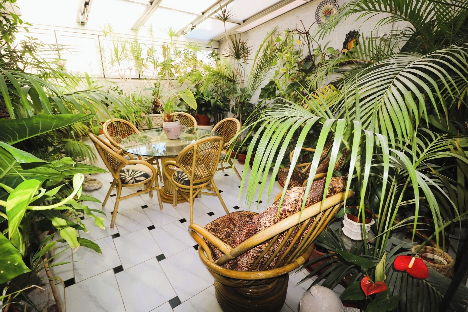 Foto - Hostal Hispano - Argentino Gran Vía