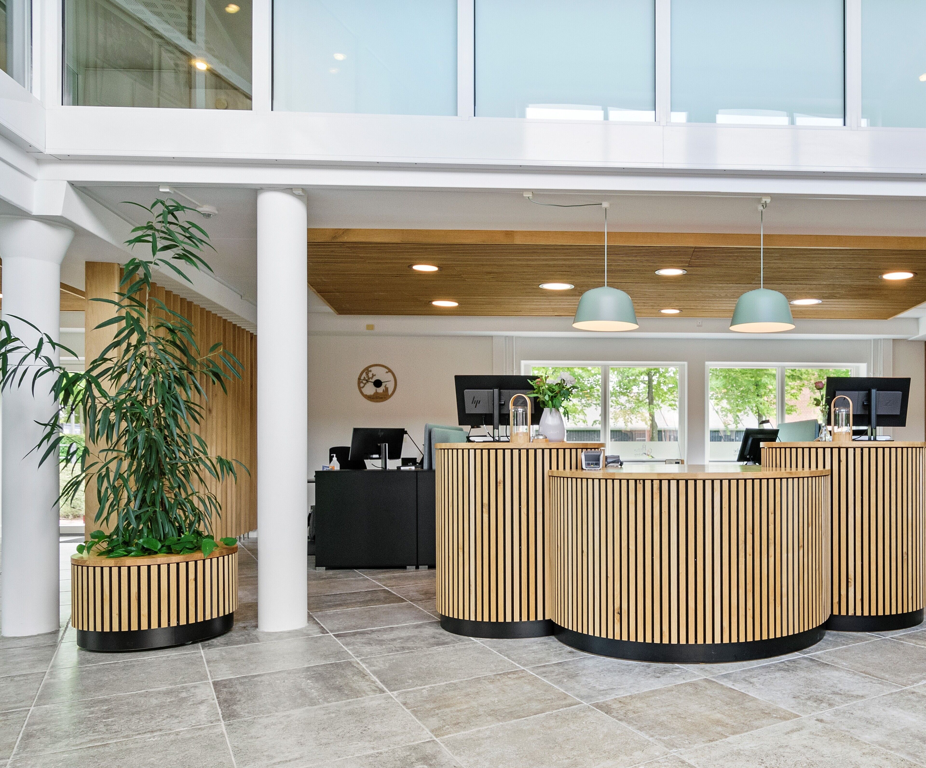 Una zona de recepción con un mostrador de madera, dos monitores de computadora y una planta grande en maceta.