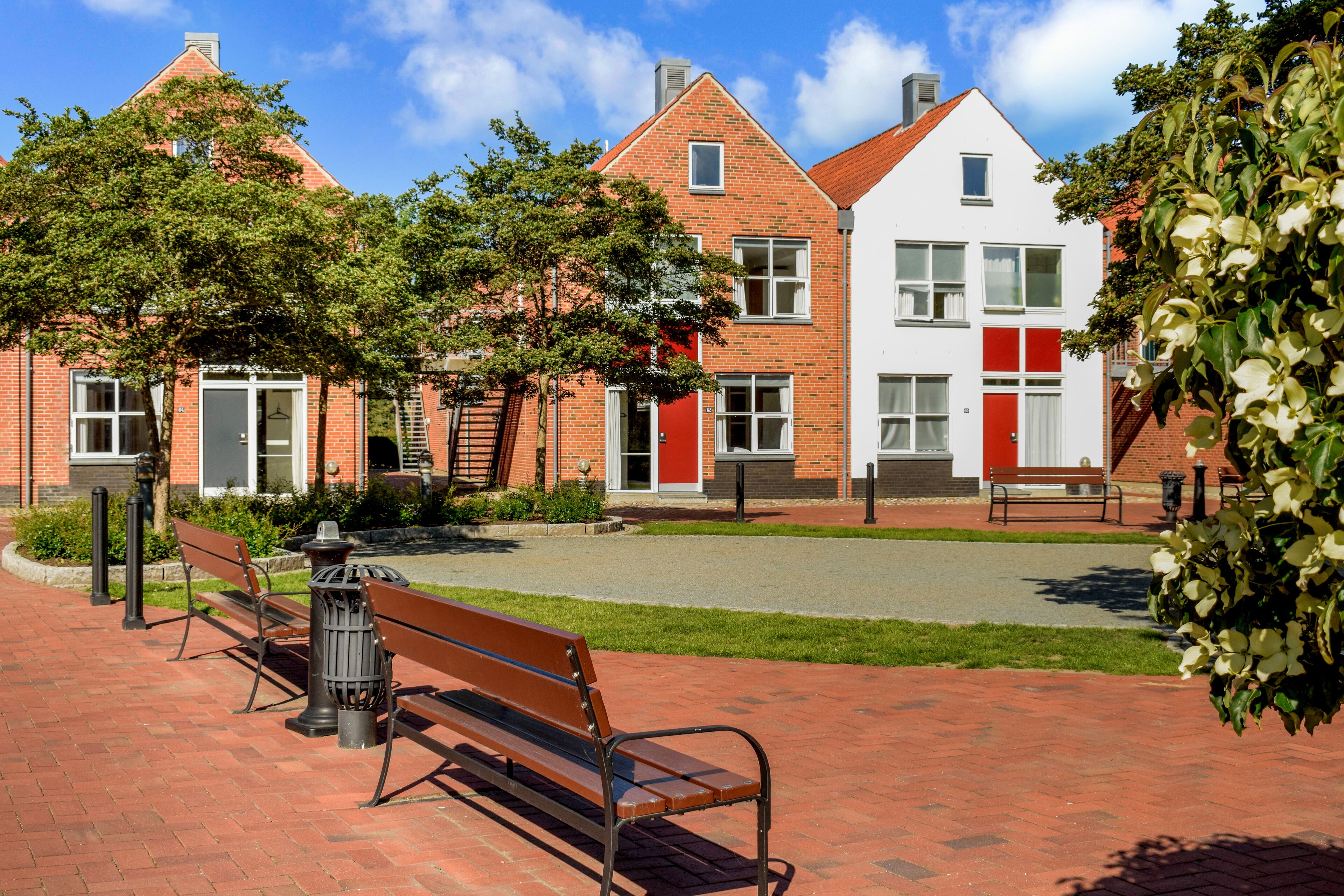 A courtyard with a bench, a trash can, and a small tree.