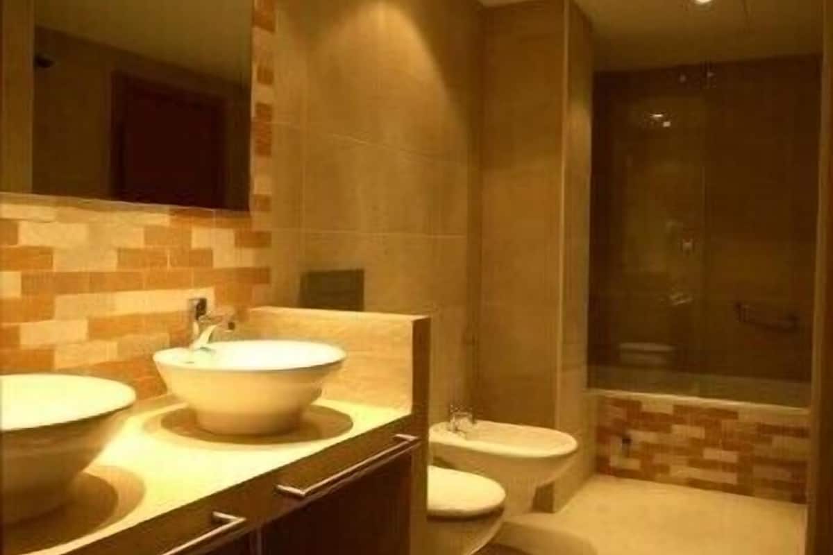 hair dryer, bidet, towels