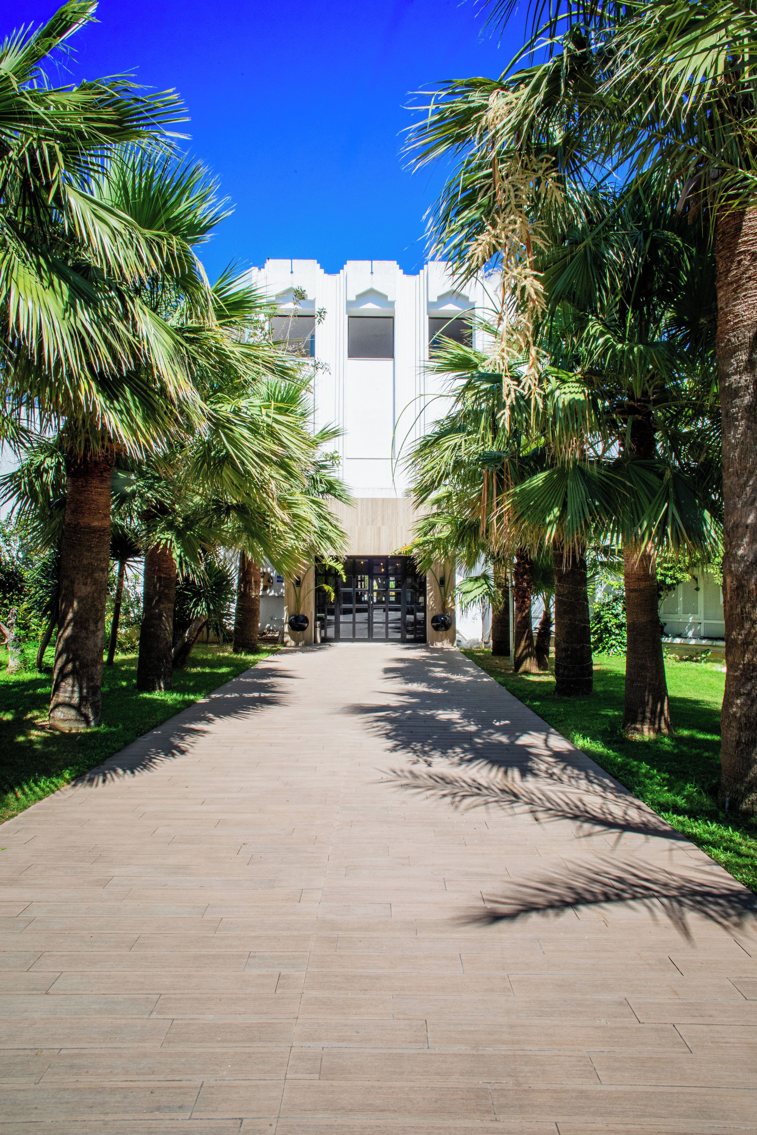 Un sendero bordeado de palmeras que conduce a un edificio de estilo arquitectónico moderno.