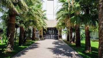 Un sendero bordeado de palmeras que conduce a un edificio de estilo arquitectónico moderno.