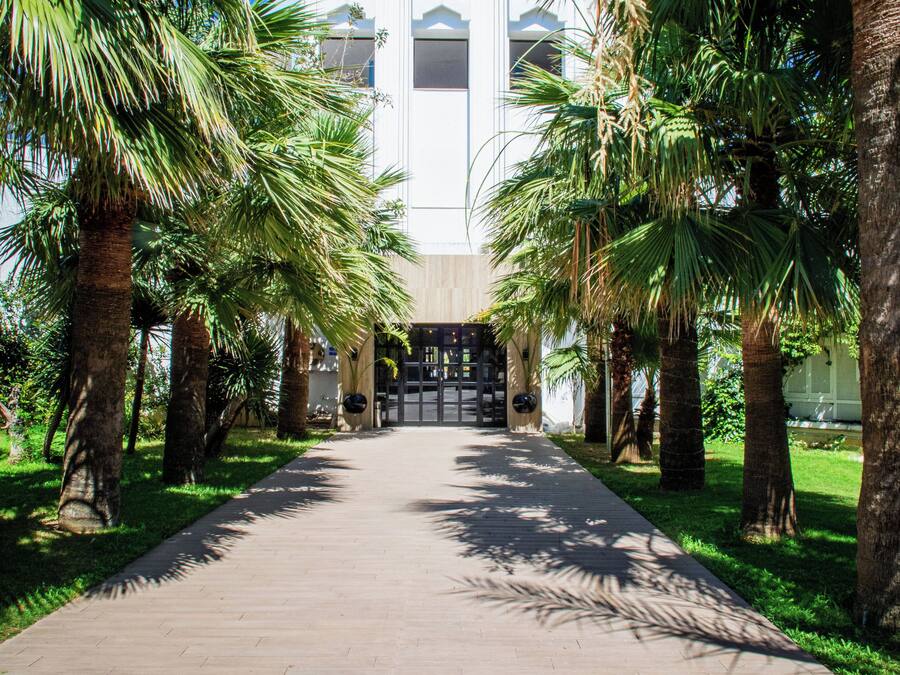 Un sendero bordeado de palmeras que conduce a un edificio de estilo arquitectónico moderno.