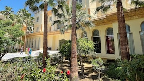 A courtyard with palm trees, a building with arched windows, and a paved walkway.