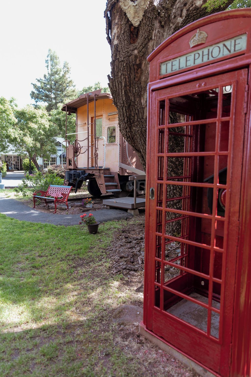 Un teléfono público antiguo con el tronco de un árbol al fondo.