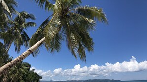 A beach with palm trees, clear turquoise water, and boats in the distance.
