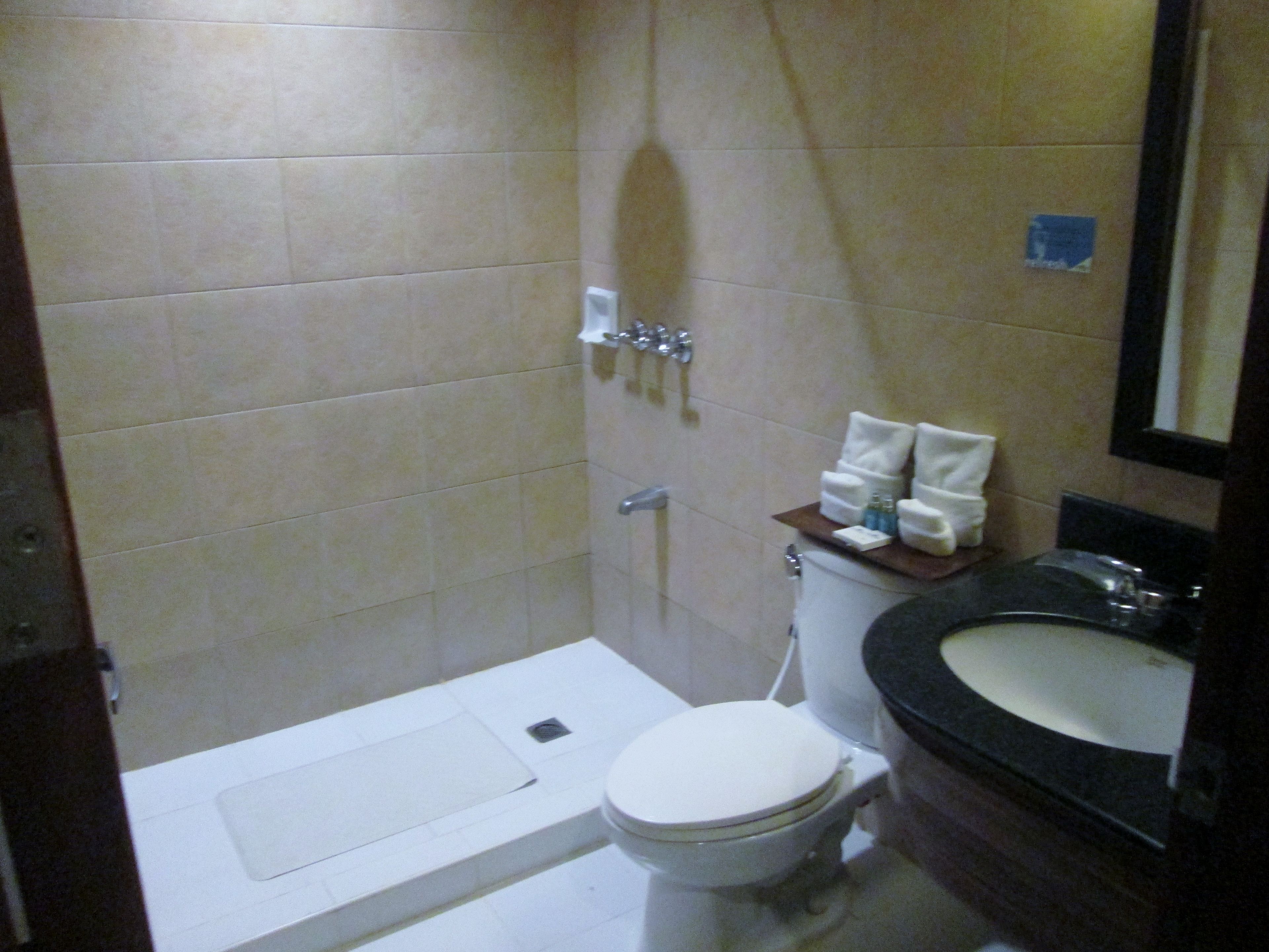 shower, rainfall showerhead, hair dryer, slippers