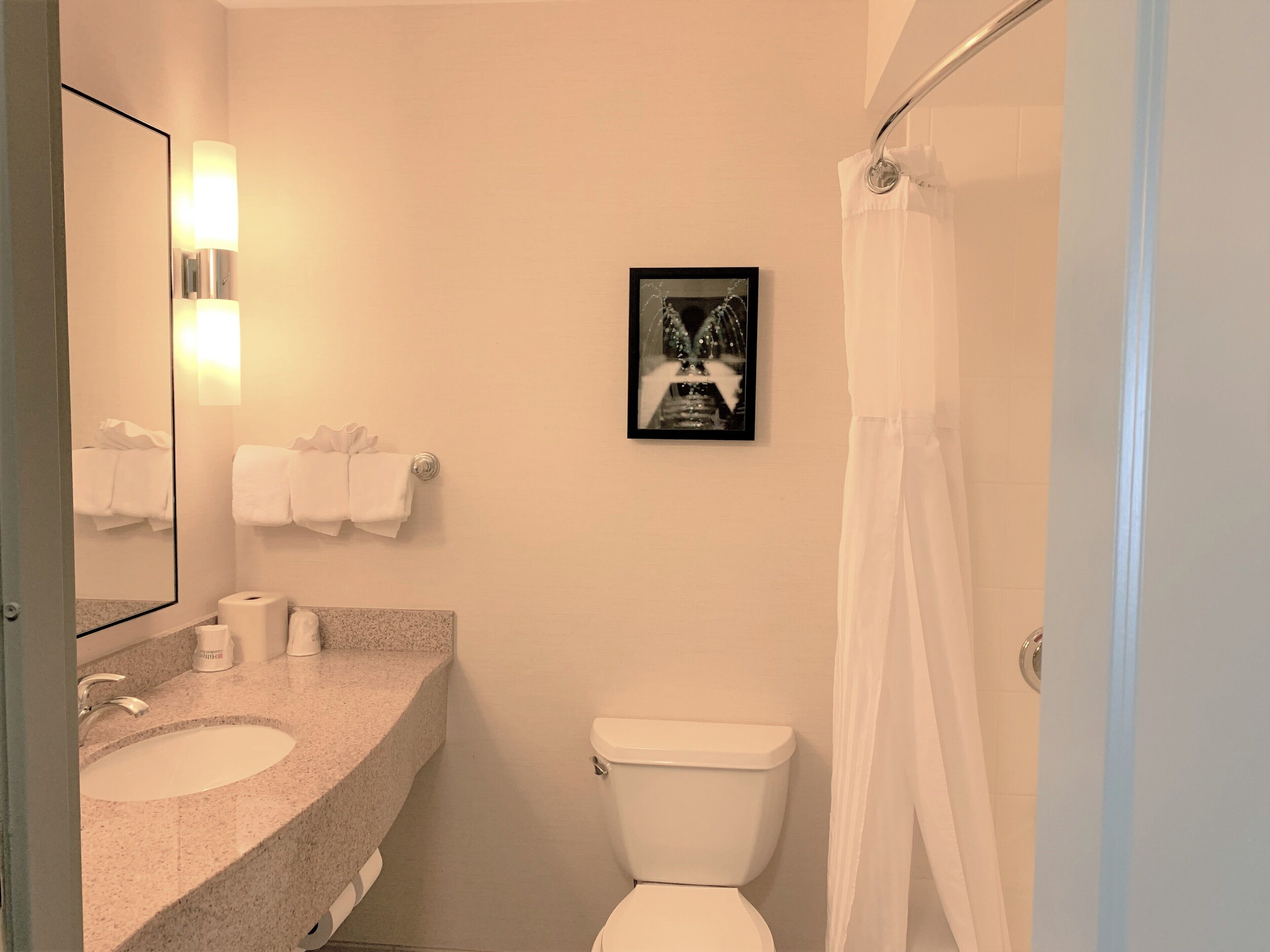 combined shower/bathtub, free toiletries, hair dryer, towels