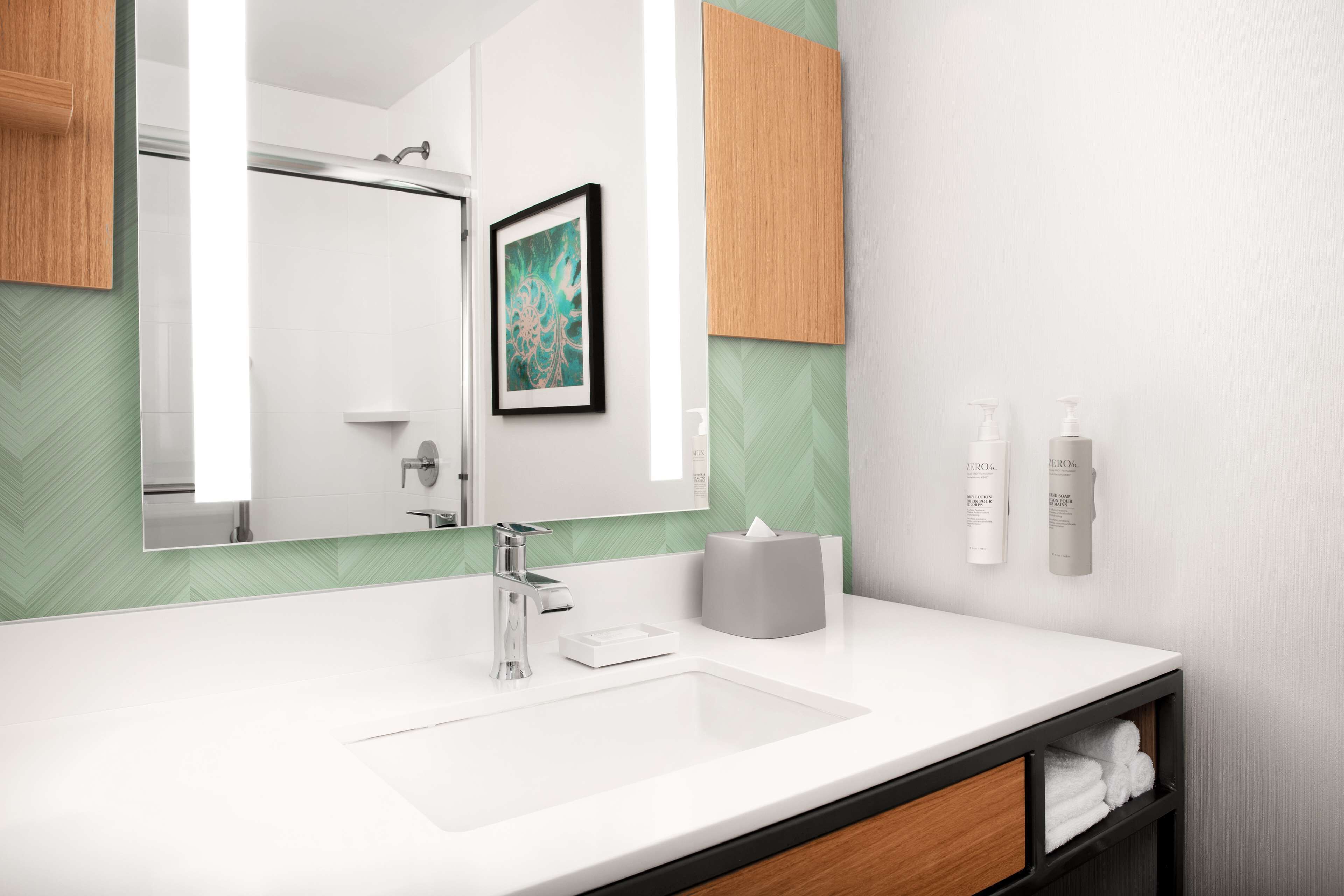 combined shower/bathtub, free toiletries, hair dryer, towels