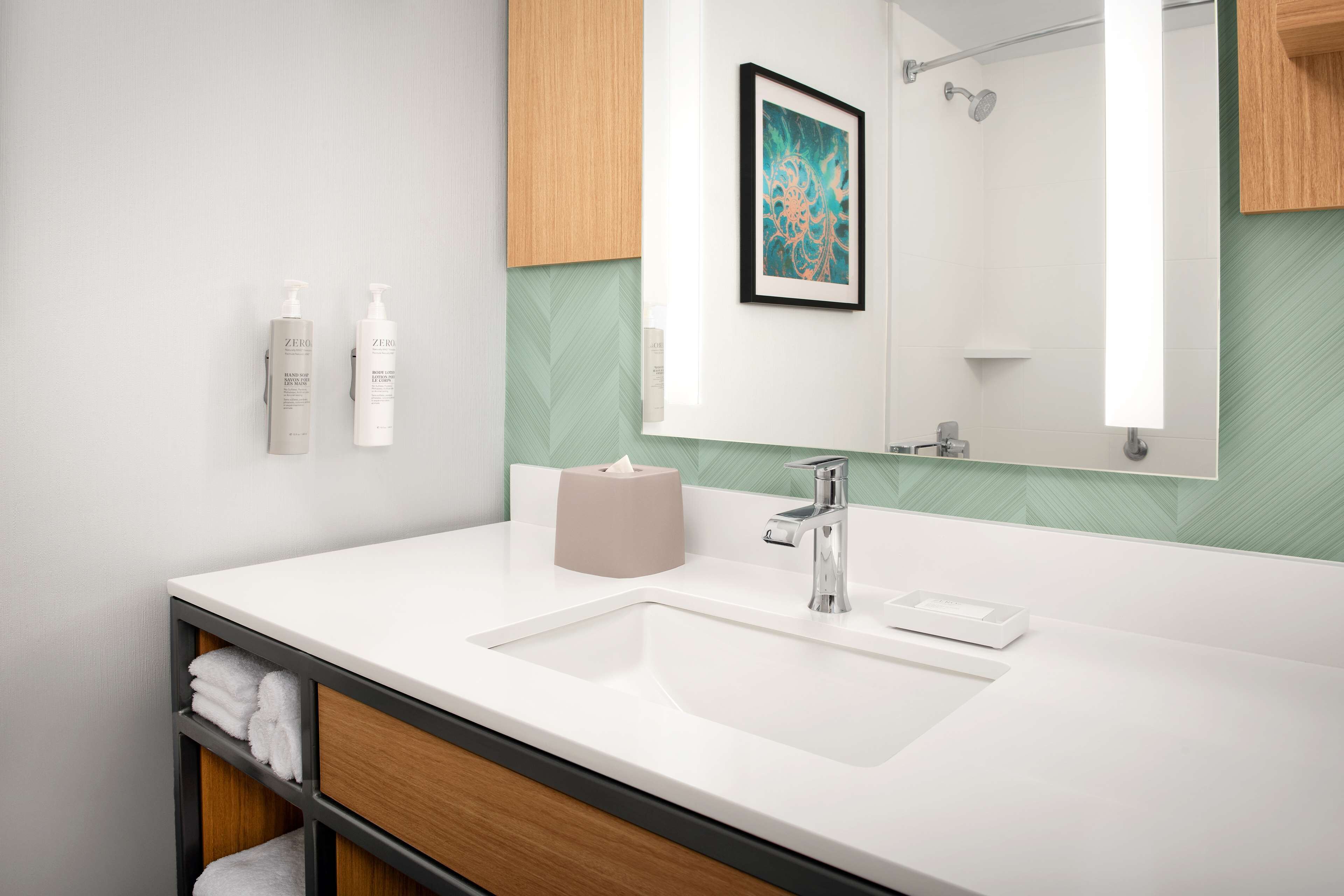 combined shower/bathtub, free toiletries, hair dryer, towels