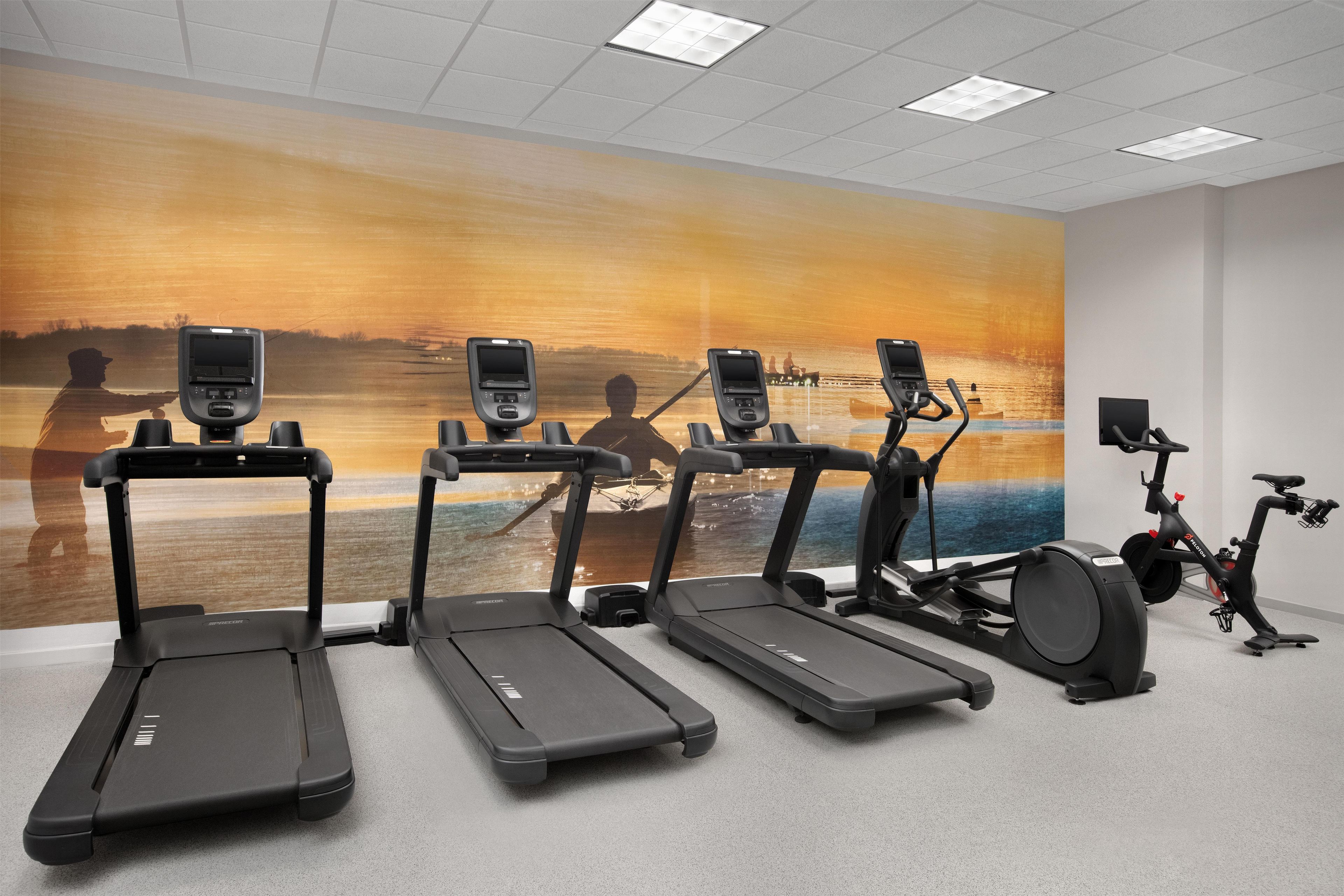 Ett gym med löpband, en crosstrainer och en motionscykel, och på väggen finns en väggmålning som föreställer en solnedgång.