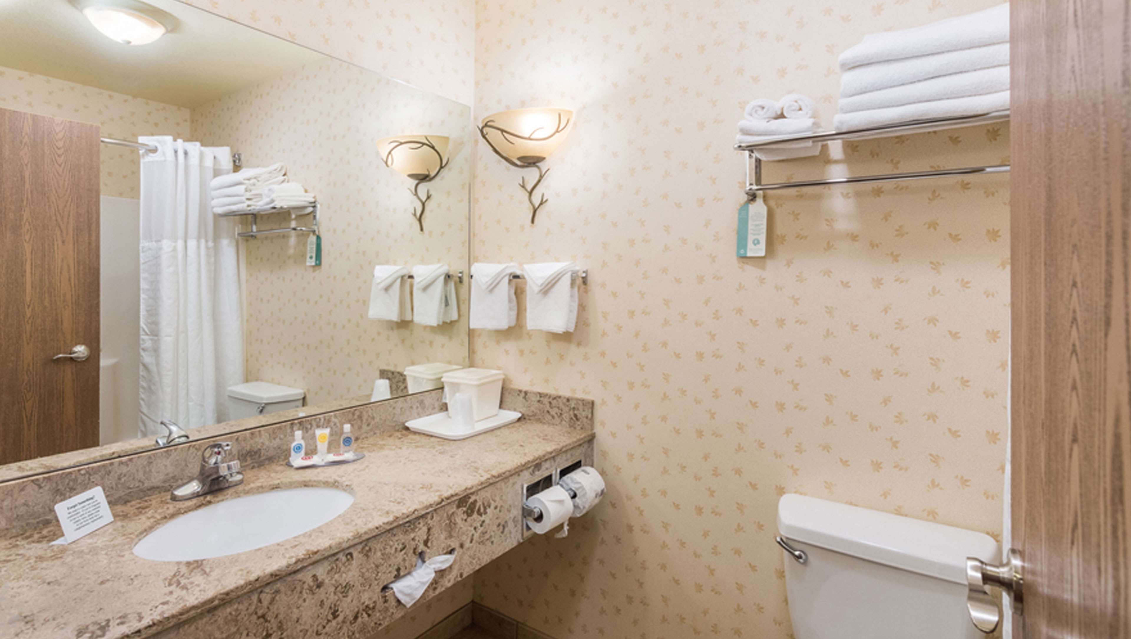 combined shower/bathtub, free toiletries, hair dryer, towels