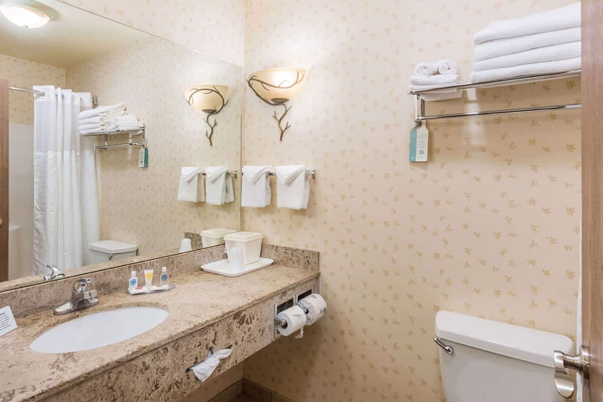 combined shower/bathtub, free toiletries, hair dryer, towels