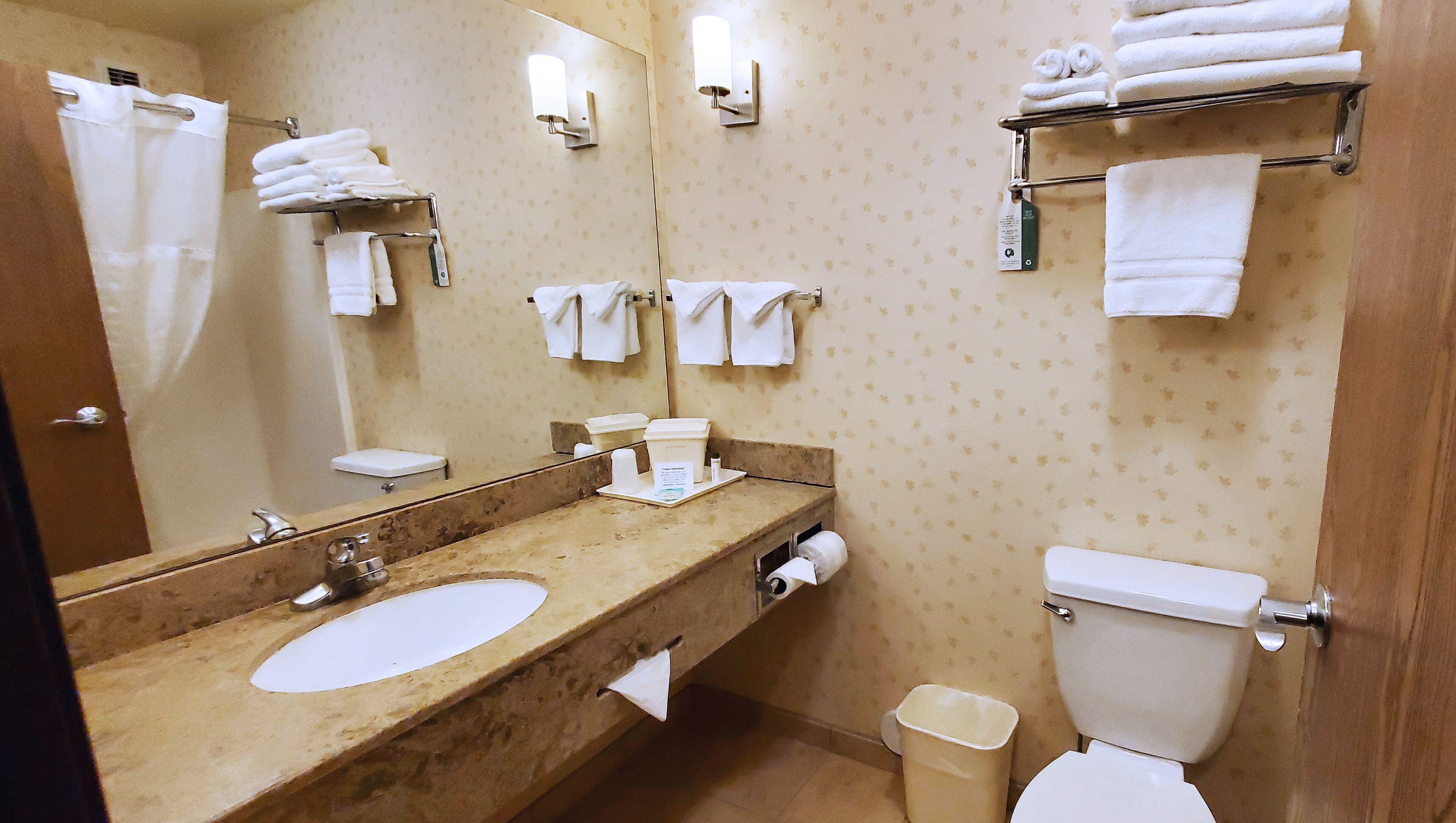 combined shower/bathtub, free toiletries, hair dryer, towels