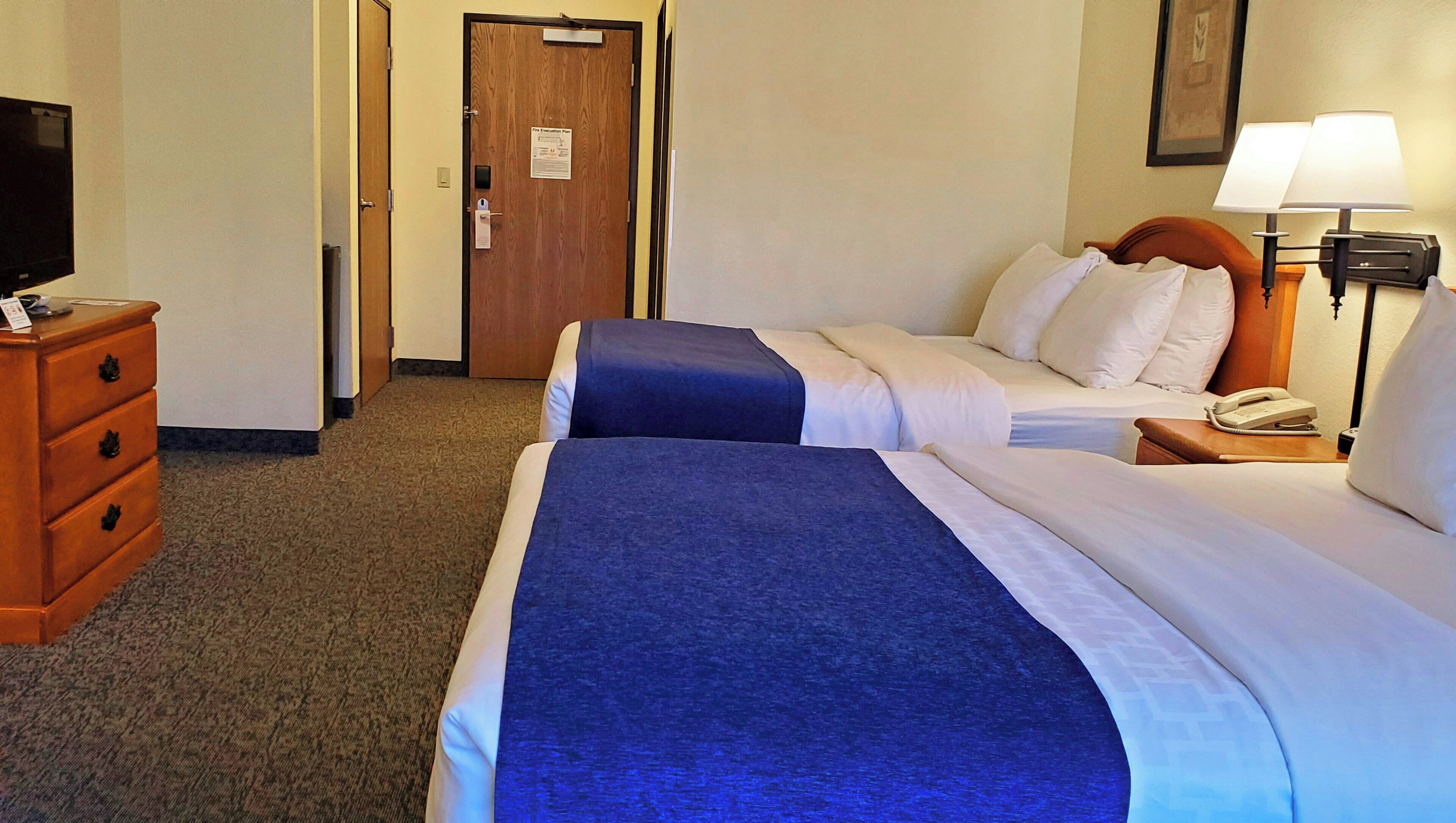 A hotel room with two beds, a dresser, a TV, a lamp, and a phone on the nightstand.