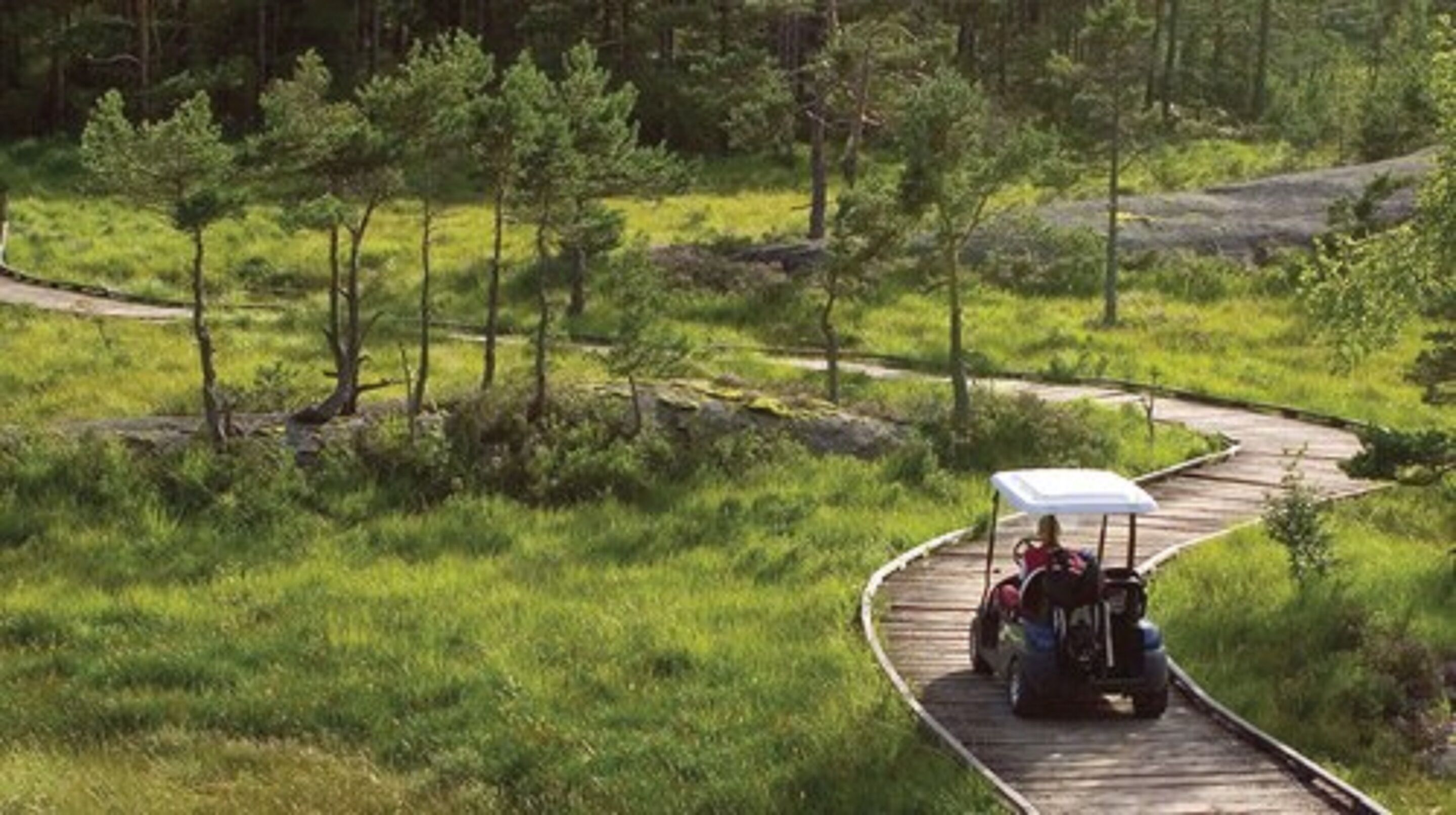 A golf cart on a wooden boardwalk through a grassy area with trees.