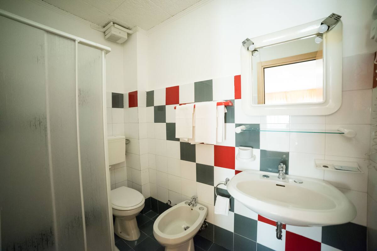 Shower, hair dryer, bidet, towels