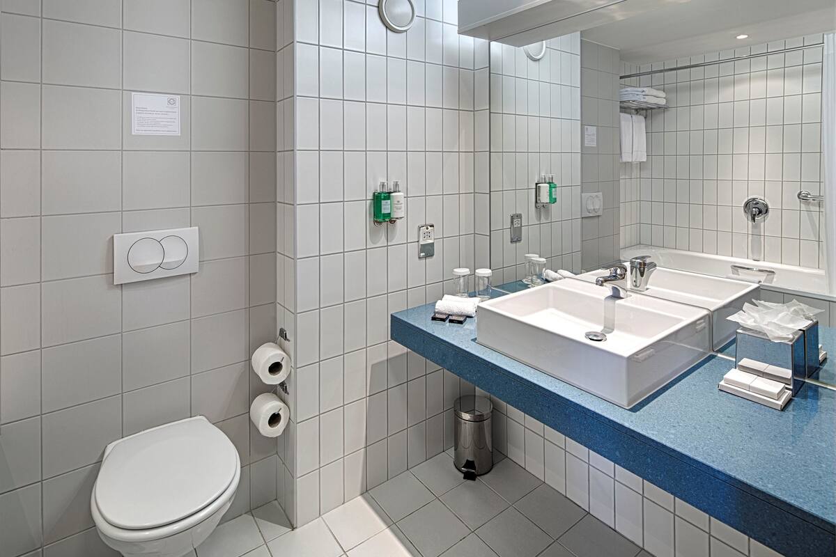 combined shower/bathtub, free toiletries, hair dryer, towels