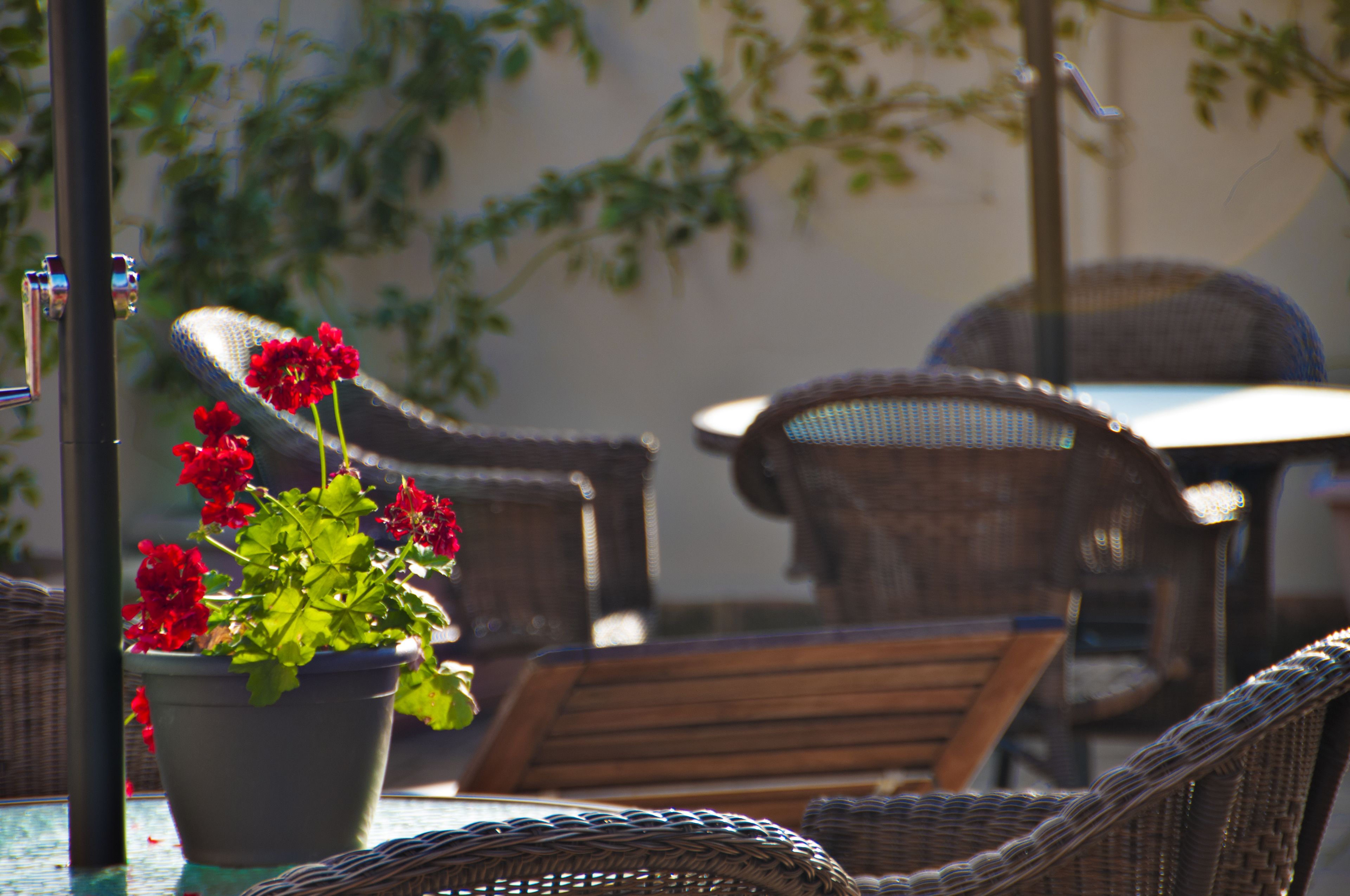 Foto - Hostal Callejon del Agua