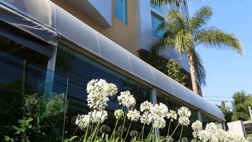 Vista frontal de la propiedad