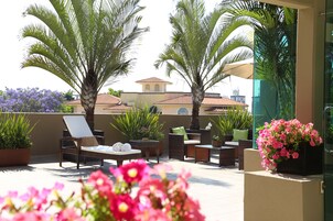 Una terraza en la azotea con mobiliario de mimbre, palmeras y plantas en macetas.