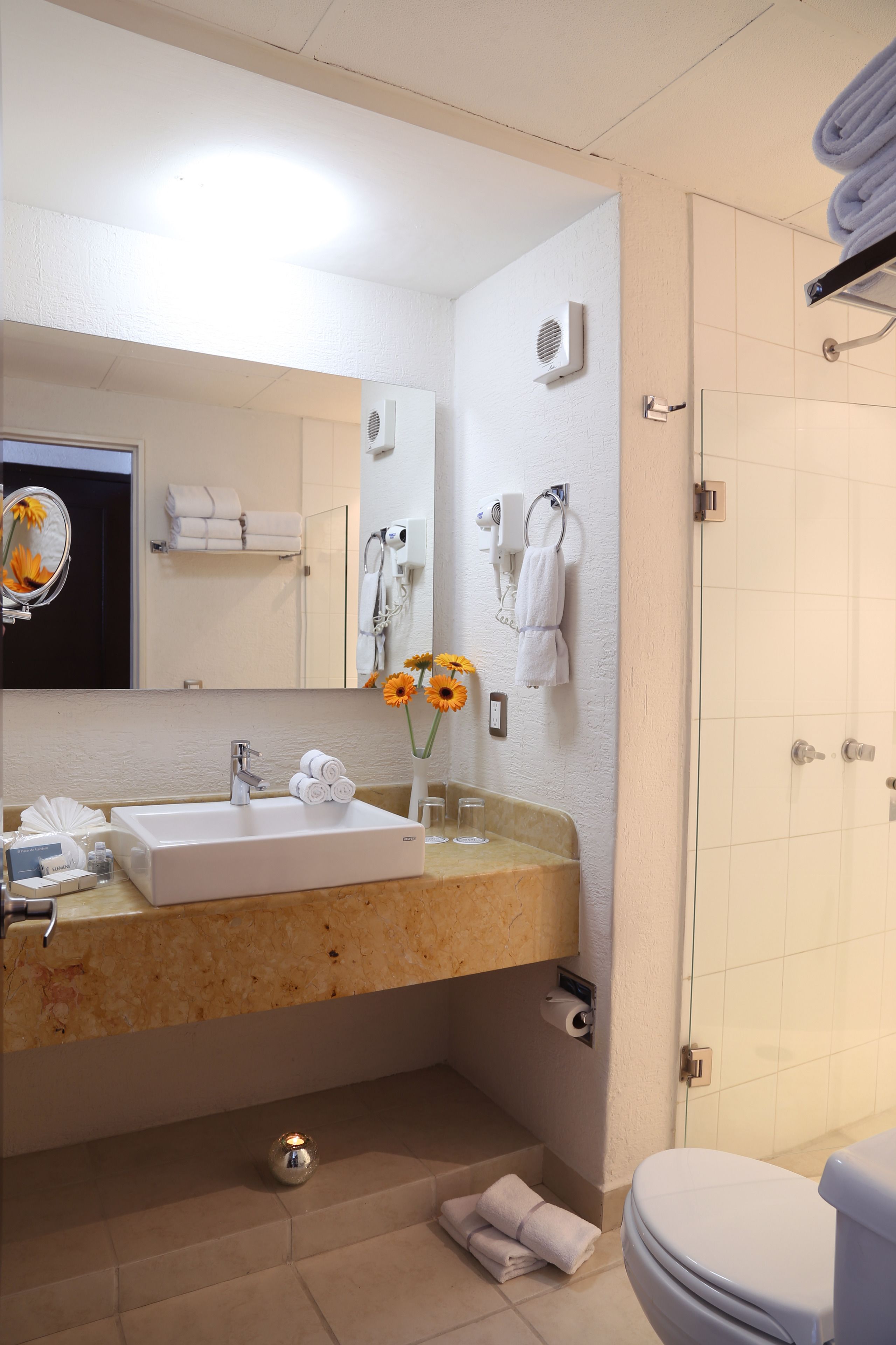 Photo - Mesón Ejecutivo Guadalajara Minerva - Av México