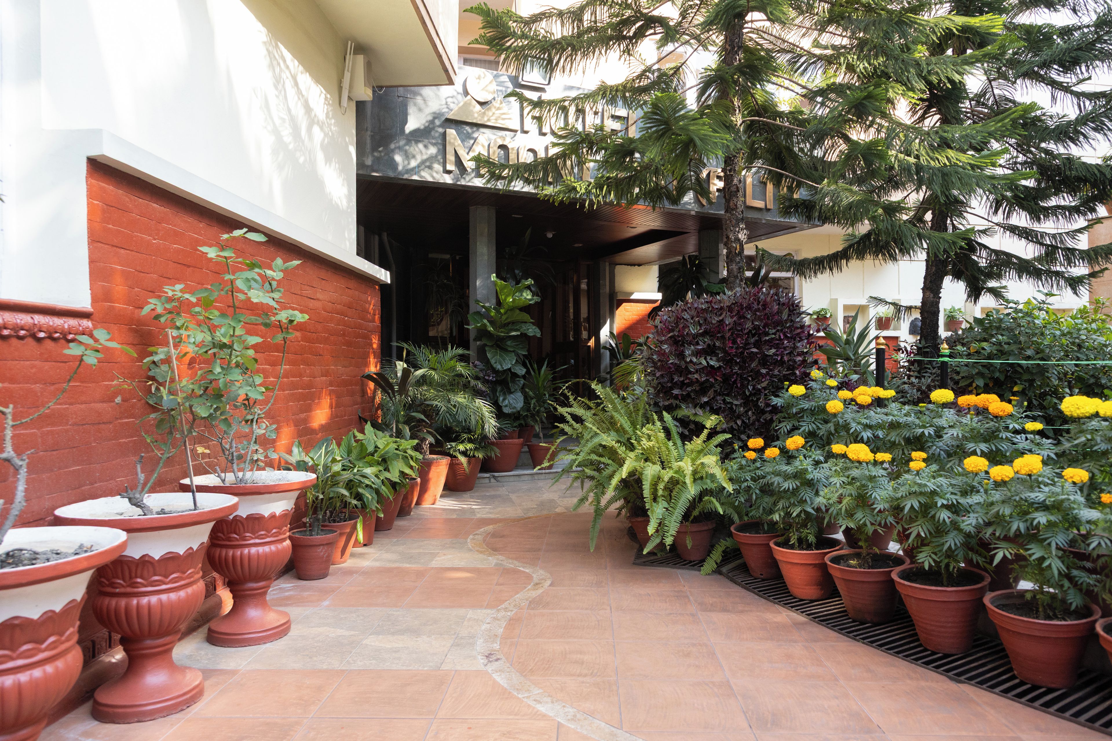 A pathway lined with potted plants leading to a building entrance.
