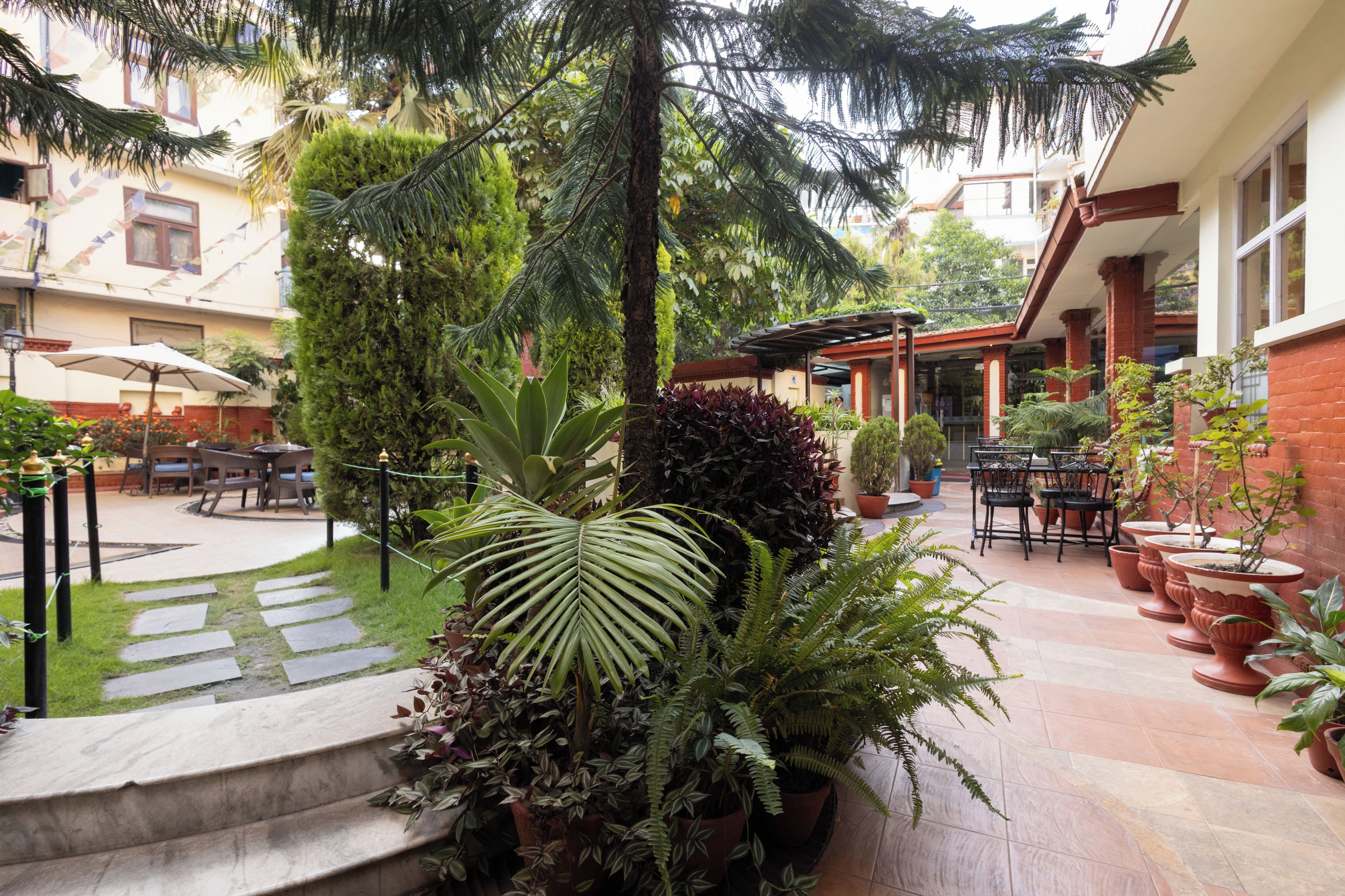 Un patio con diversas macetas, mobiliario exterior y una zona cubierta.