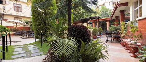 Un patio con diversas macetas, mobiliario exterior y una zona cubierta.