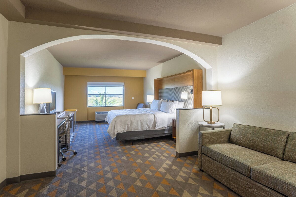 A hotel room with a bed, a desk, a couch, and a window.