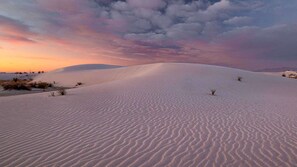 Paisaje desértico con dunas de arena y vegetación escasa.