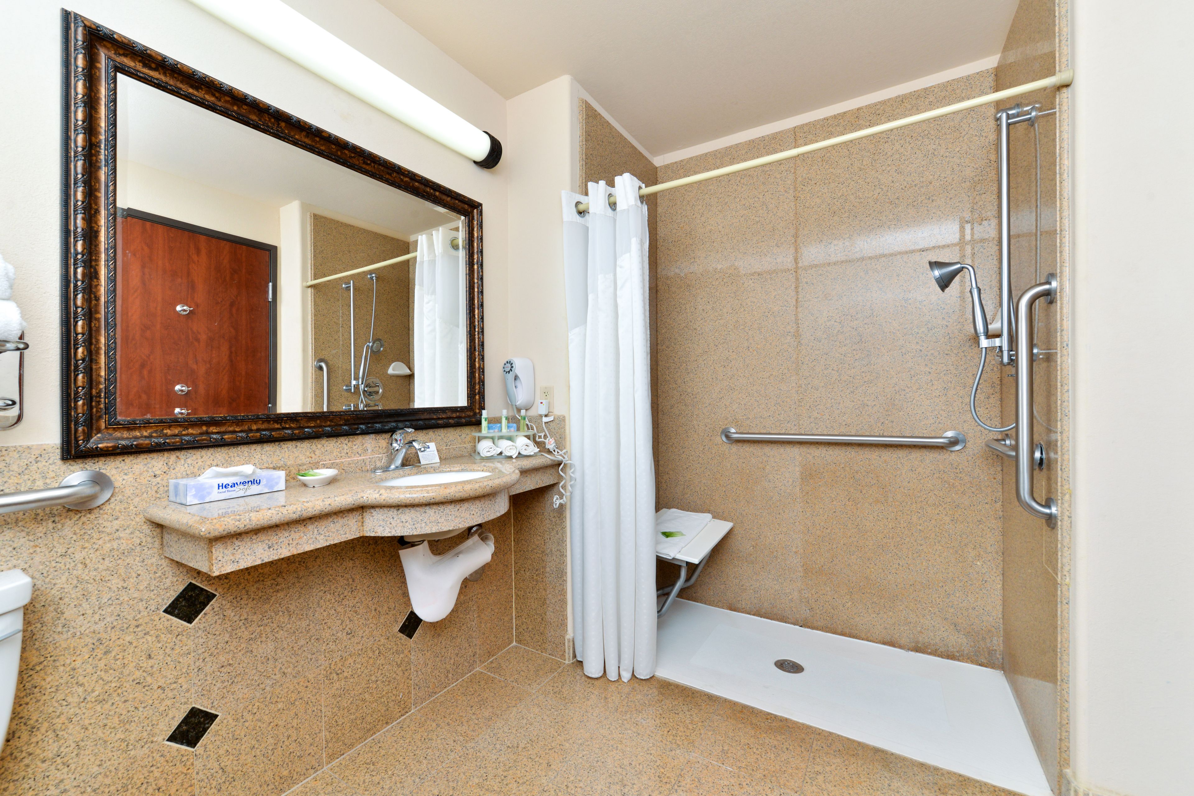 Standard Room, 2 Queen Beds, Accessible (Communications, Roll-In Shower) | In-room safe, desk, blackout drapes, iron/ironing board