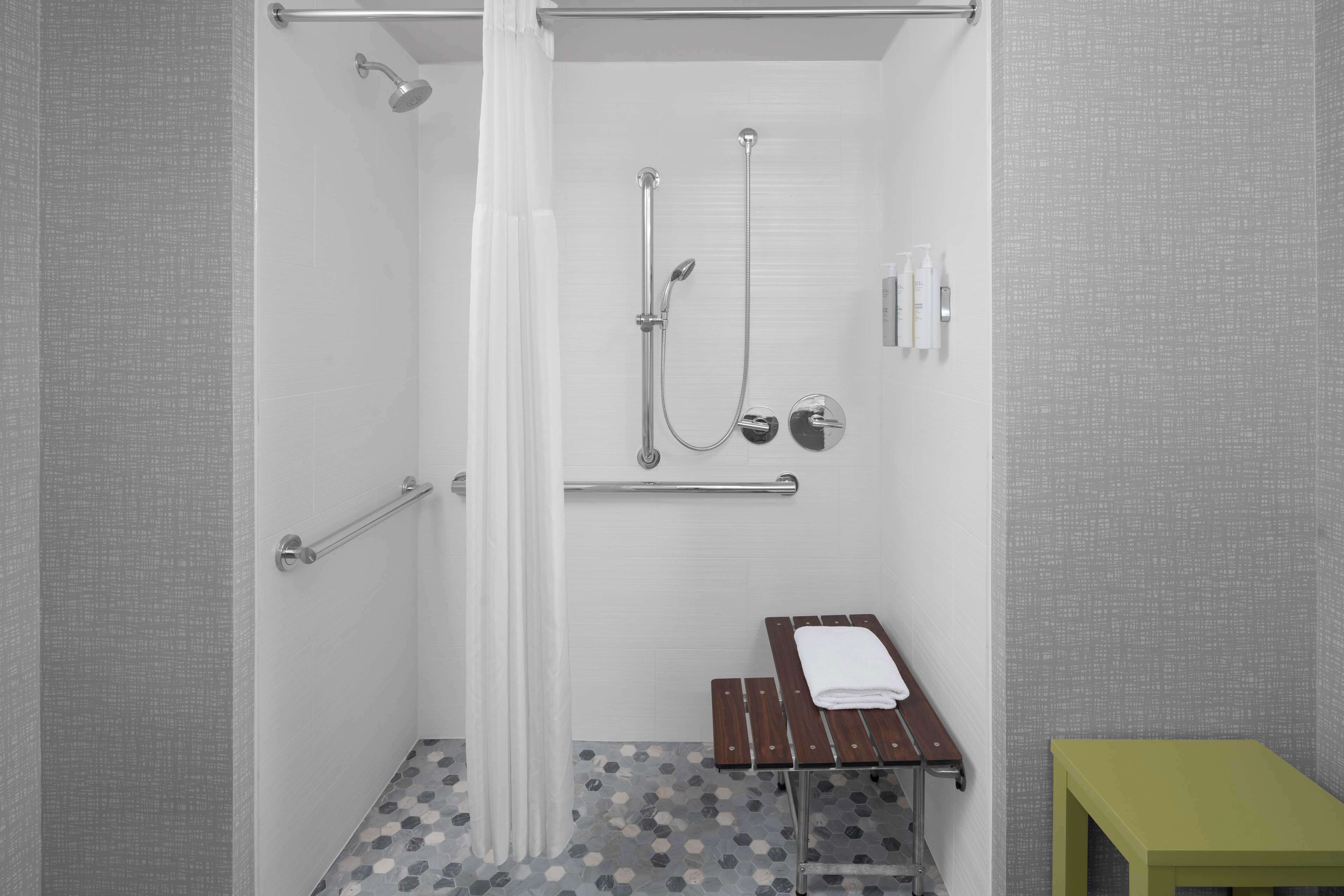 room, 1 king bed, accessible, non smoking | bathroom shower