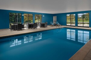 Una piscina con interior azul, rodeada de amplios ventanales que dan vistas a árboles y un sendero.
