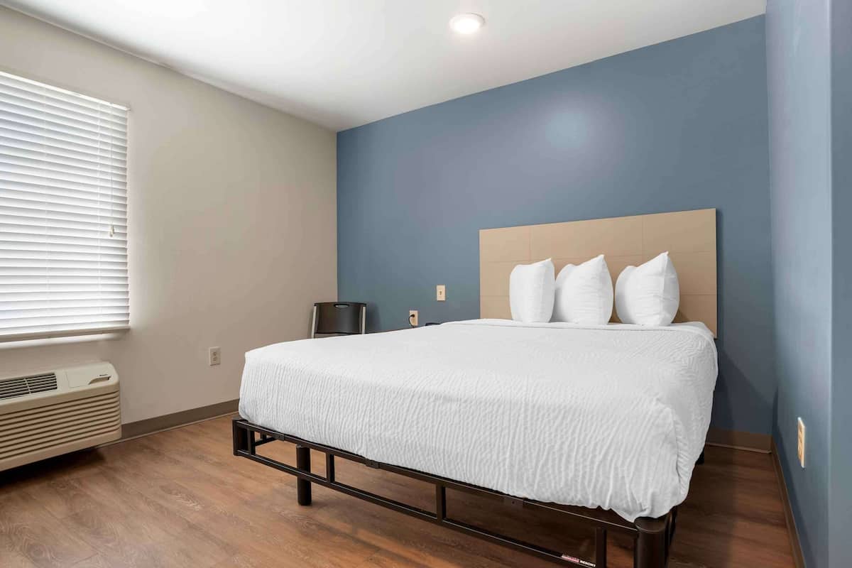 standard studio, non smoking, refrigerator & microwave | desk, laptop workspace, iron/ironing board, free wifi