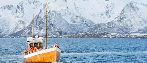 A wooden boat with passengers on a calm sea, with snow-covered mountains in the background.