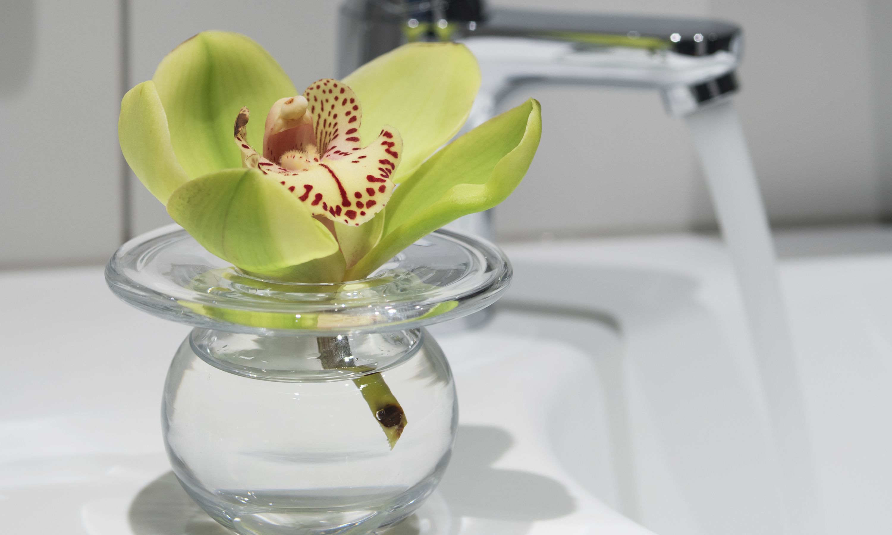 suite (panorama) | bathroom | shower, free toiletries, hair dryer, towels