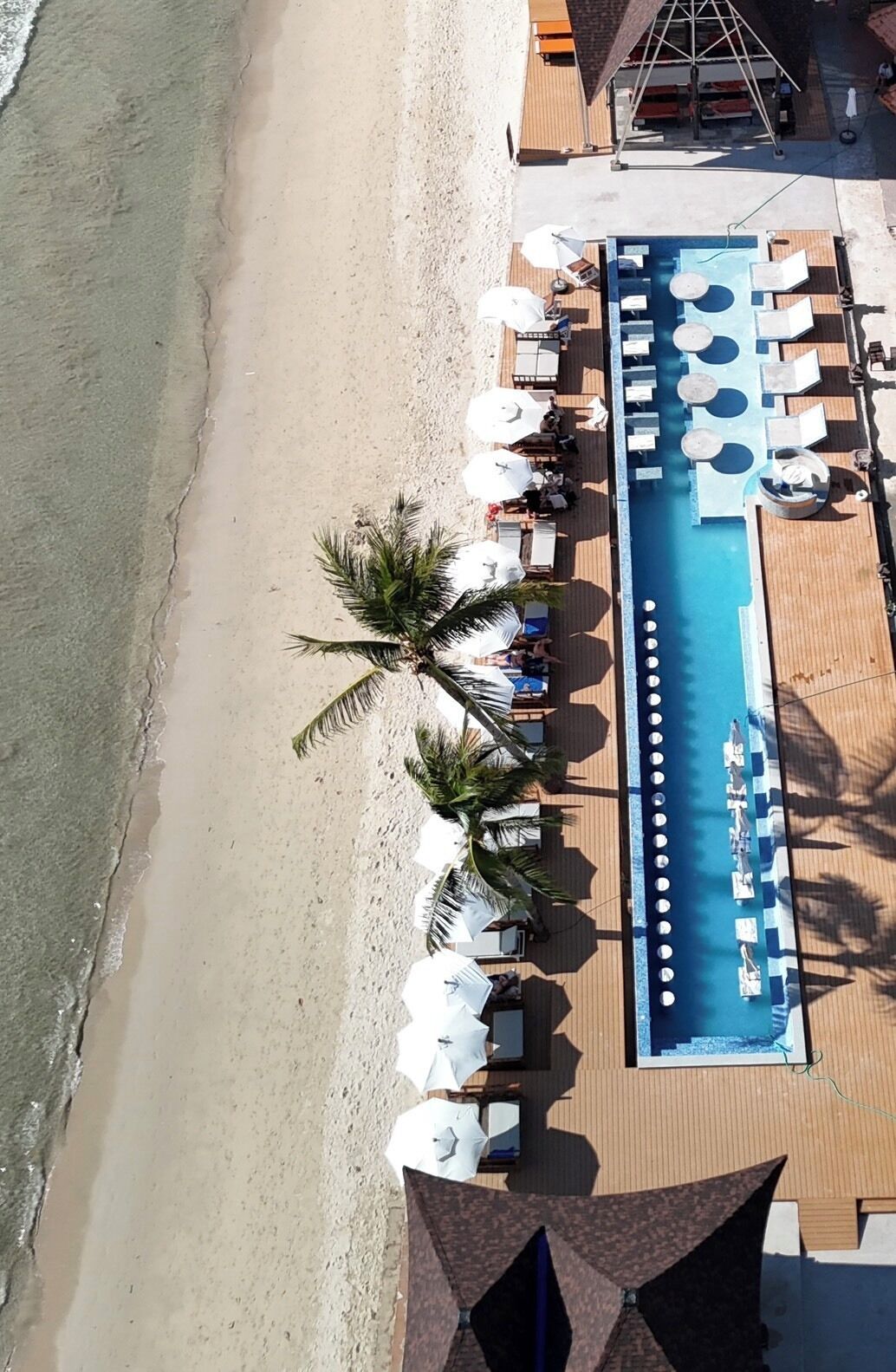 An aerial view of a beachside pool area with lounge chairs and umbrellas, surrounded by palm trees.