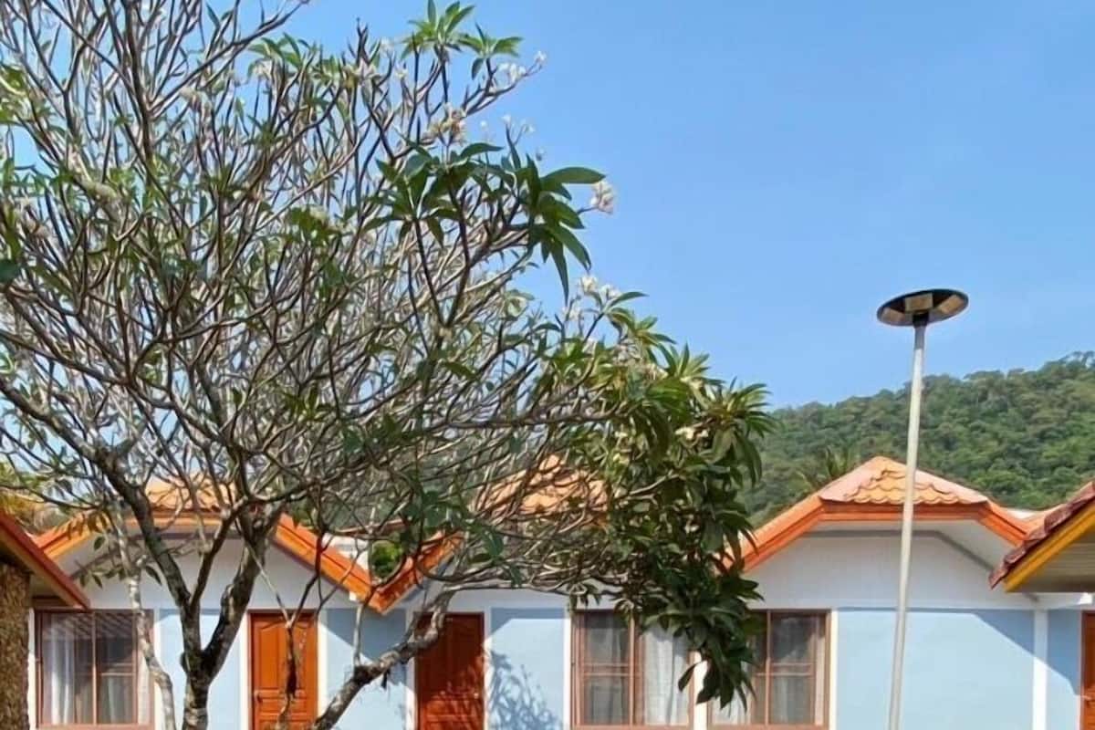 A residential building with a pathway leading to the entrance, surrounded by greenery and a clear sky.