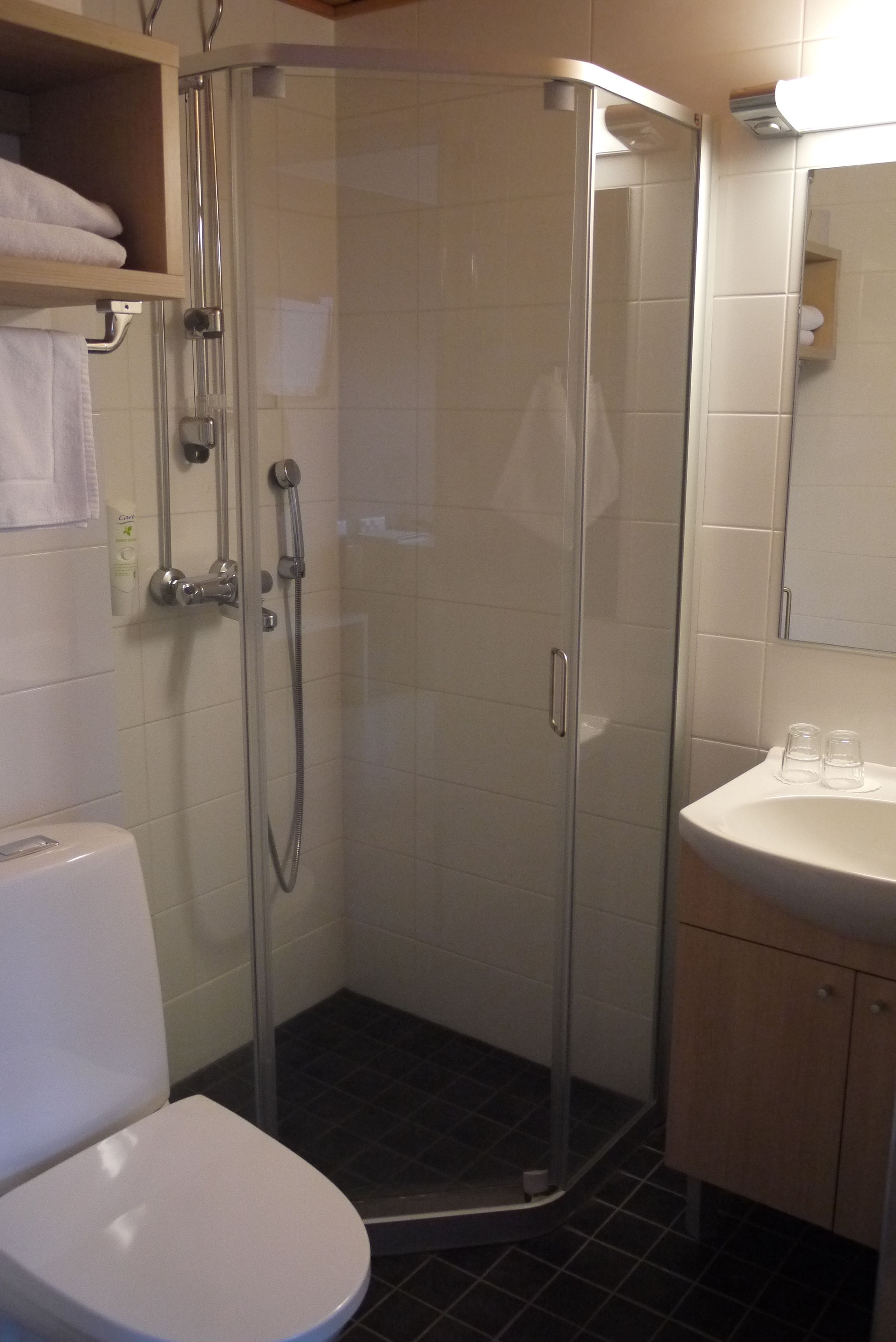 Un baño con ducha de vidrio, inodoro y lavamanos con espejo.