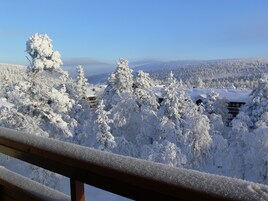 Vista desde la habitación