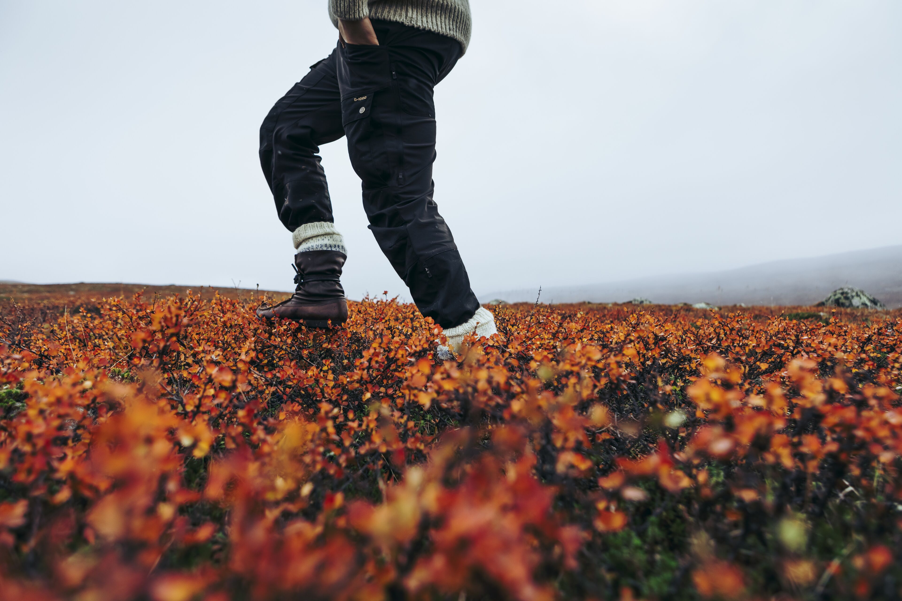 A person walking through a field of orange foliage.