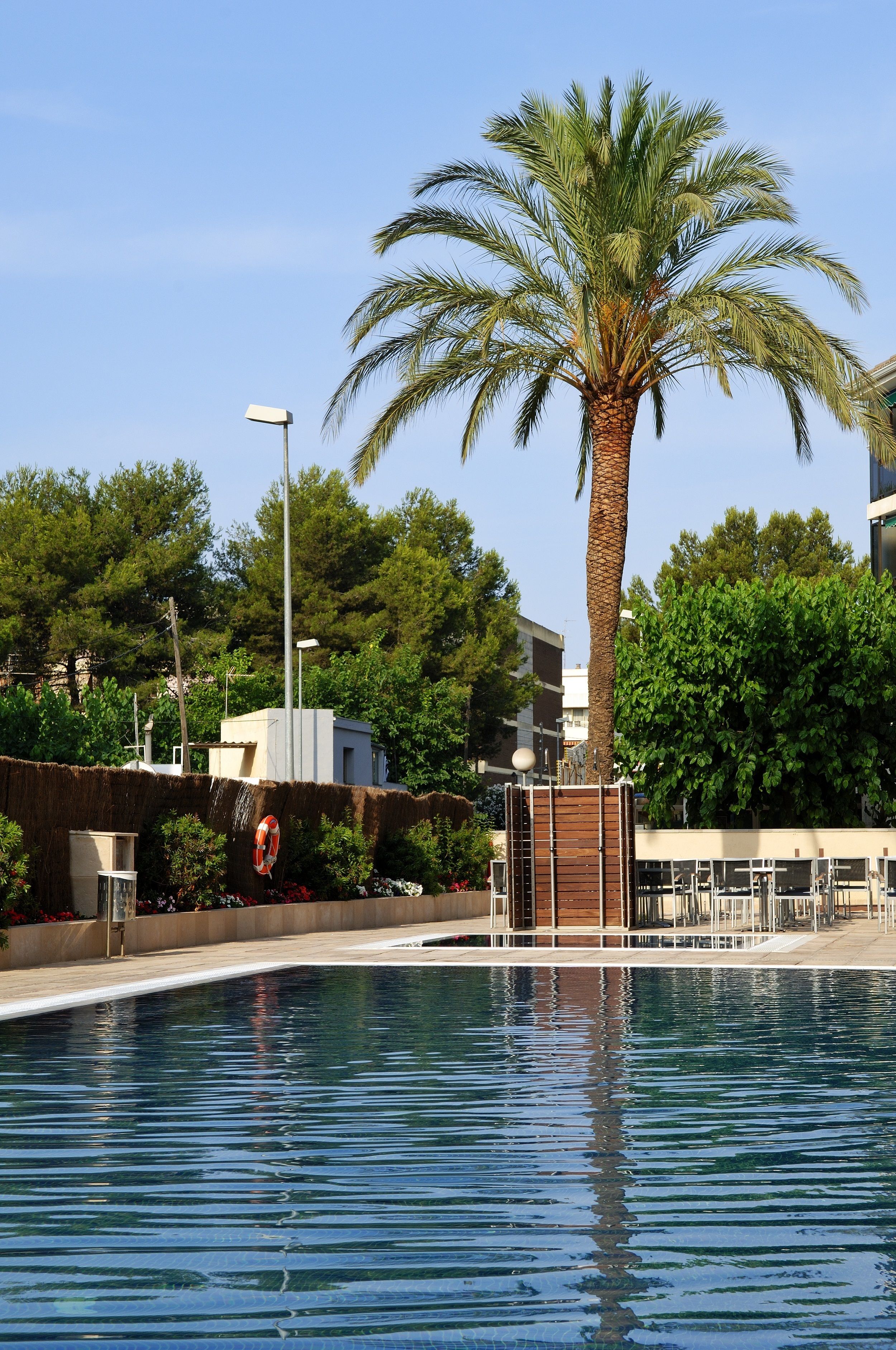 A swimming pool with a palm tree, a lifeguard stand, and a building in the background.