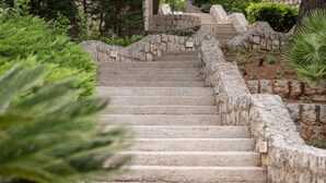 Una escalera de piedra que asciende, rodeada de follaje y árboles.