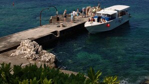 View from property - Villas Plat (Zupa dubrovacka)