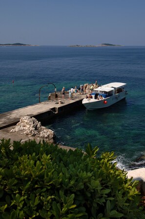 View from property - Villas Plat (Zupa dubrovacka)