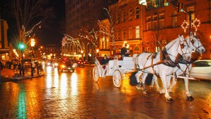 A horse-drawn carriage on a city street at night. - Holiday Inn Express & Suites Allentown West by IHG (Allentown)