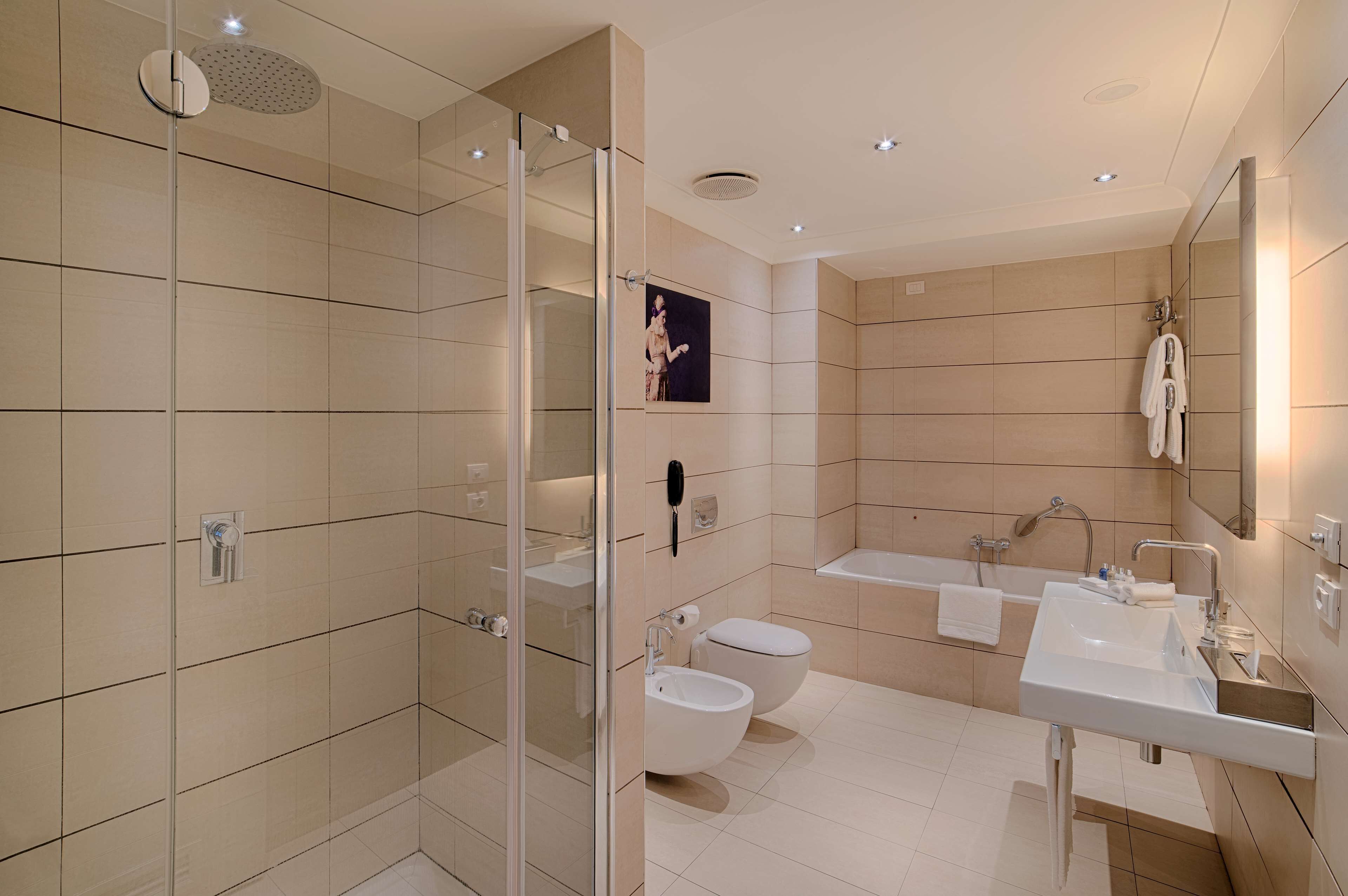 rainfall showerhead, eco-friendly toiletries, hair dryer, bidet