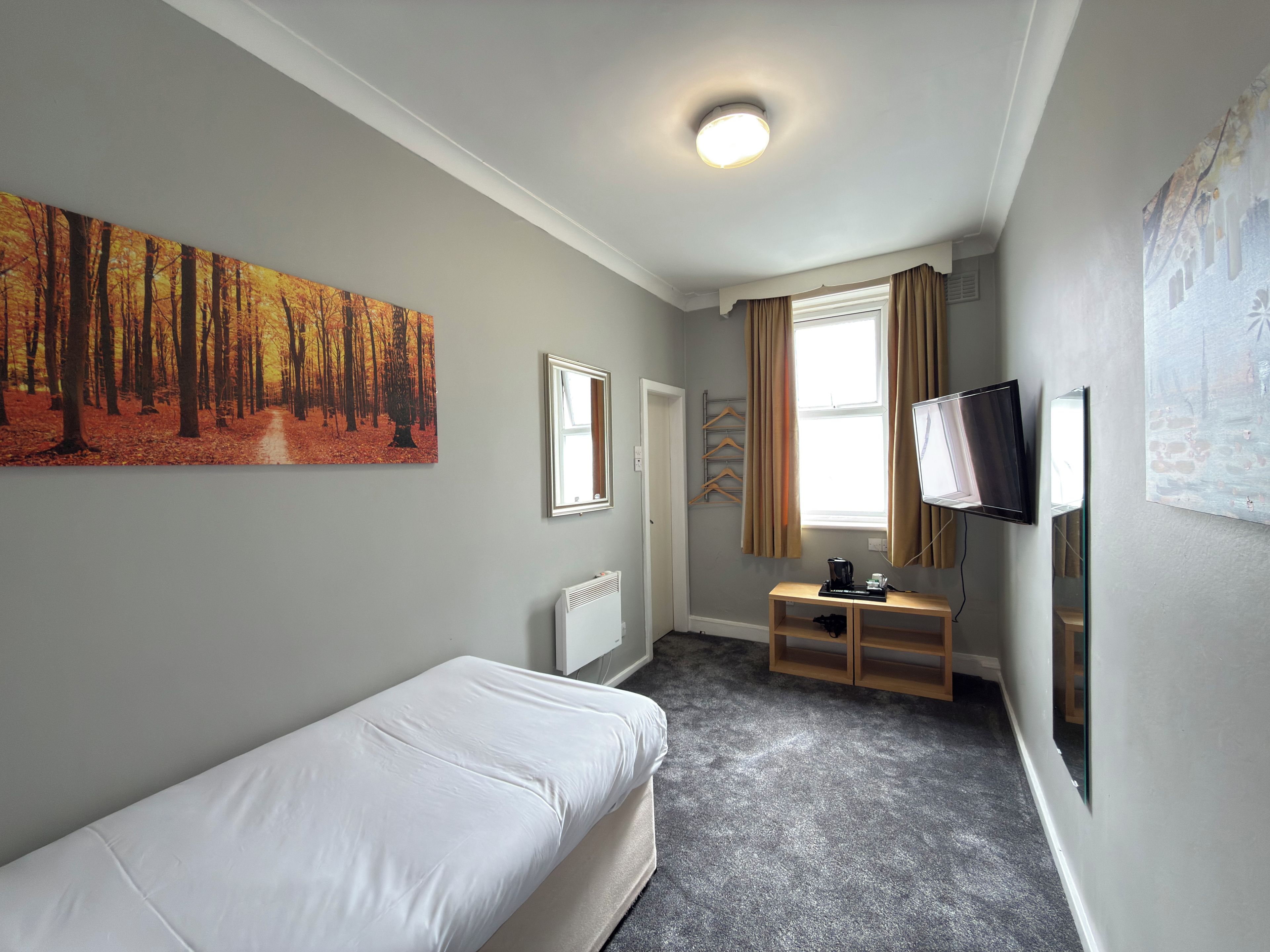 Habitació d'hotel amb un llit individual, un quadre d'un bosc, una televisió, una finestra amb cortines i un radiador.